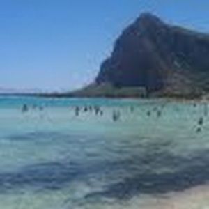 Meet your Posher, Christa